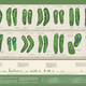Illustration for article titled The 10 Best Sports Infographics Of 2012